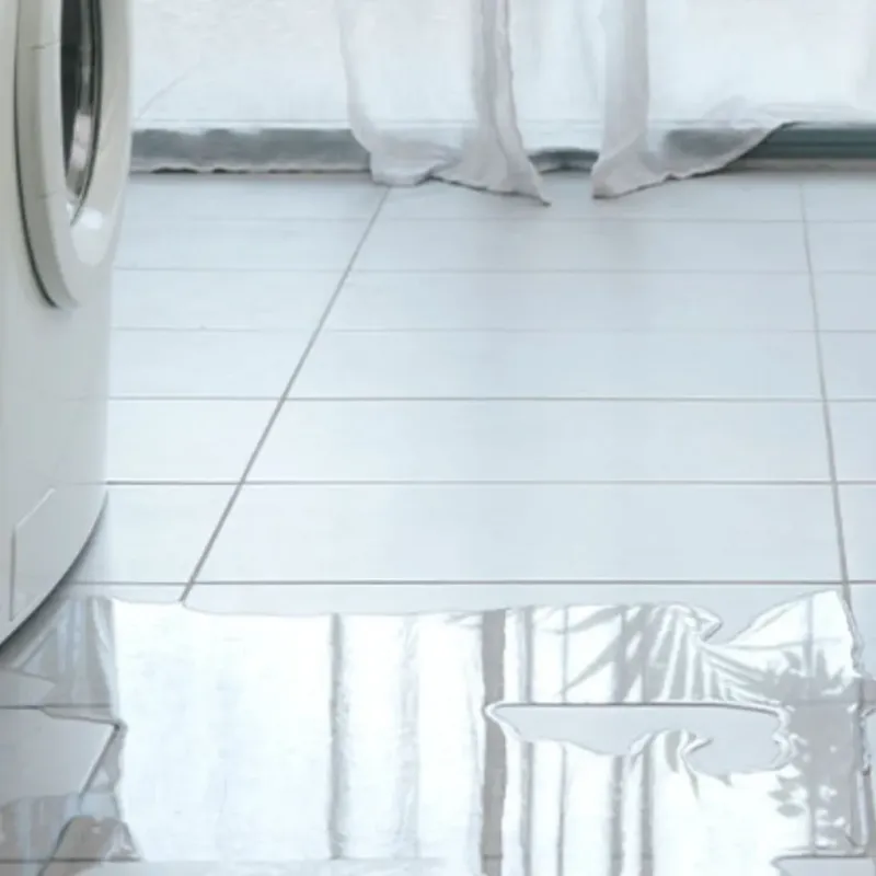 Appliance Leak Cleanup in South Hill, WA